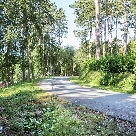 샬레 Luxury Wellness Villa, Septon